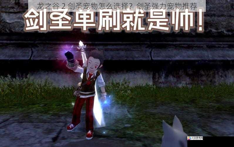 龙之谷 2 剑圣宠物怎么选择？剑圣强力宠物推荐