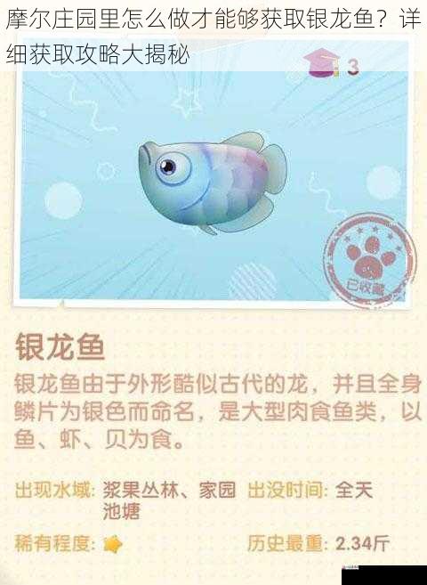 摩尔庄园里怎么做才能够获取银龙鱼?详细获取攻略大揭秘