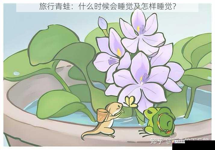 旅行青蛙：什么时候会睡觉及怎样睡觉？