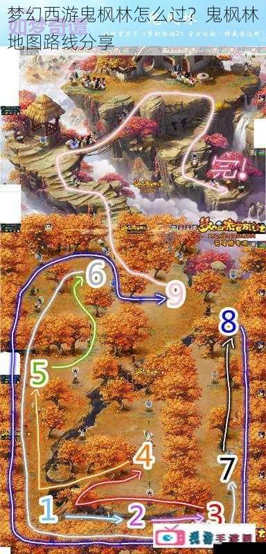 梦幻西游鬼枫林怎么过?鬼枫林地图路线分享