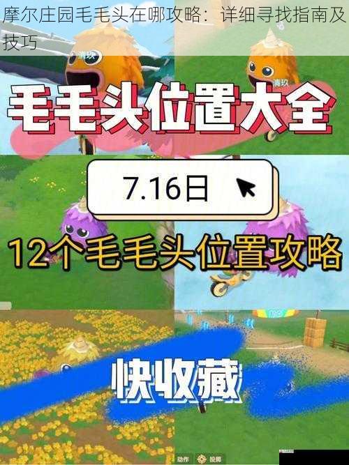 摩尔庄园毛毛头在哪攻略：详细寻找指南及技巧