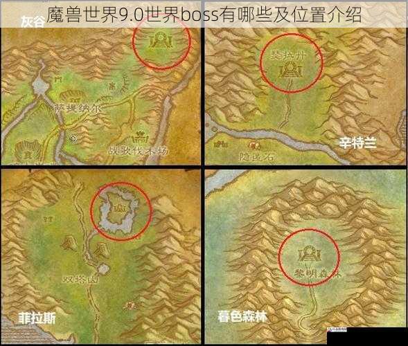 魔兽世界9.0世界boss有哪些及位置介绍