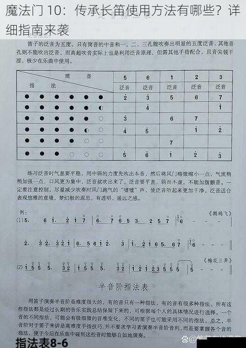 魔法门 10:传承长笛使用方法有哪些?详细指南来袭