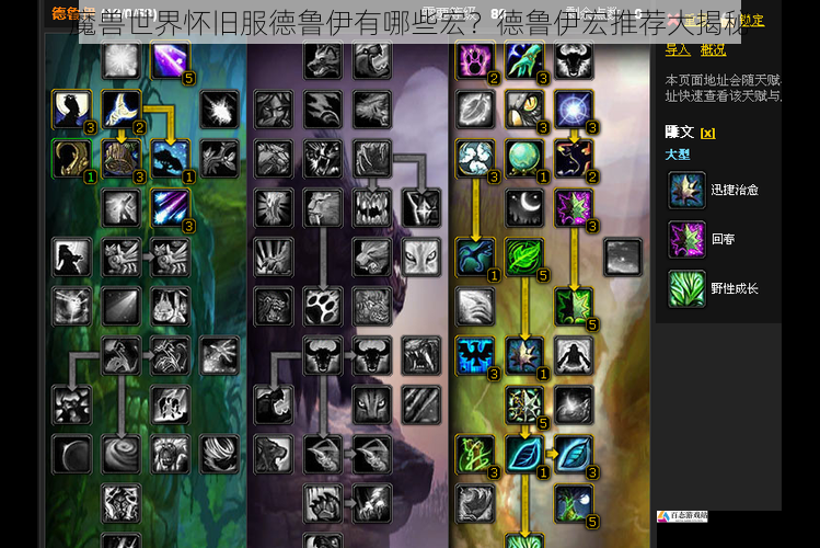 魔兽世界怀旧服德鲁伊有哪些宏？德鲁伊宏推荐大揭秘