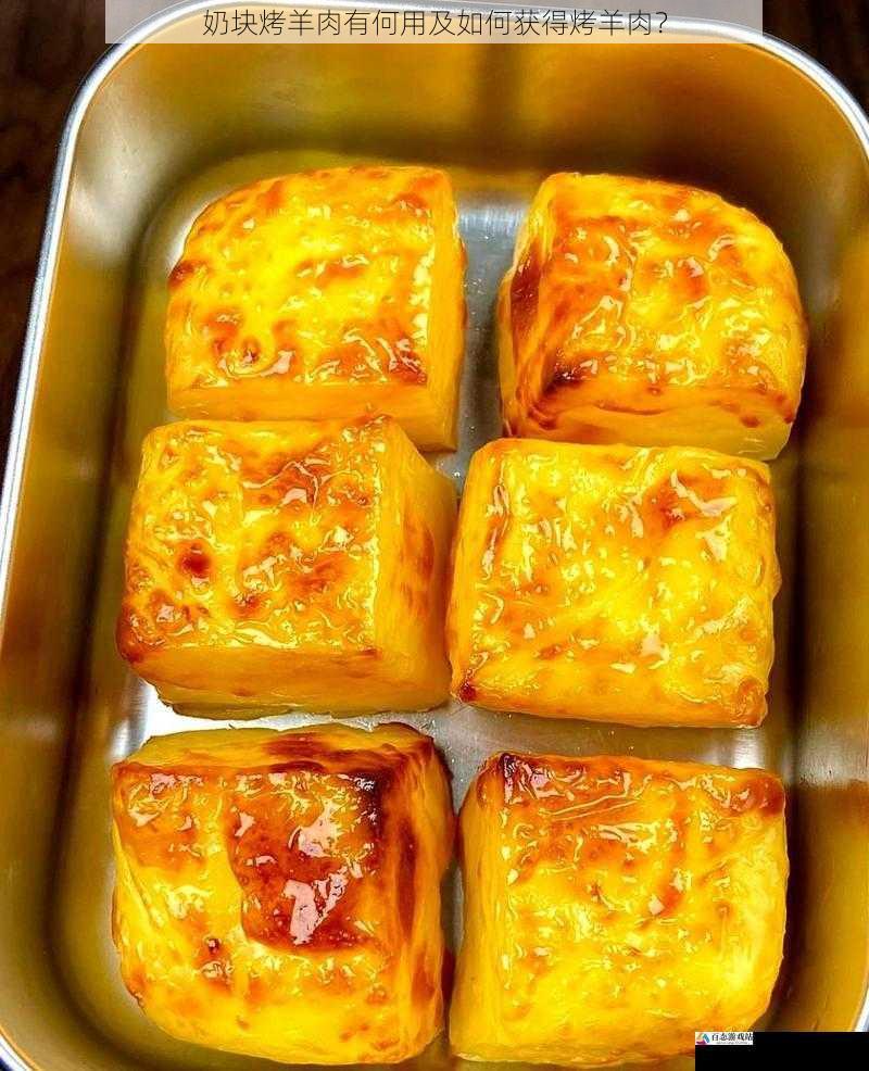 奶块烤羊肉有何用及如何获得烤羊肉?