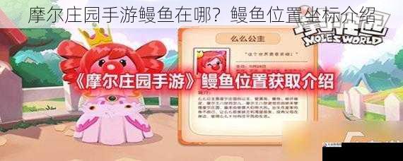 摩尔庄园手游鳗鱼在哪？鳗鱼位置坐标介绍