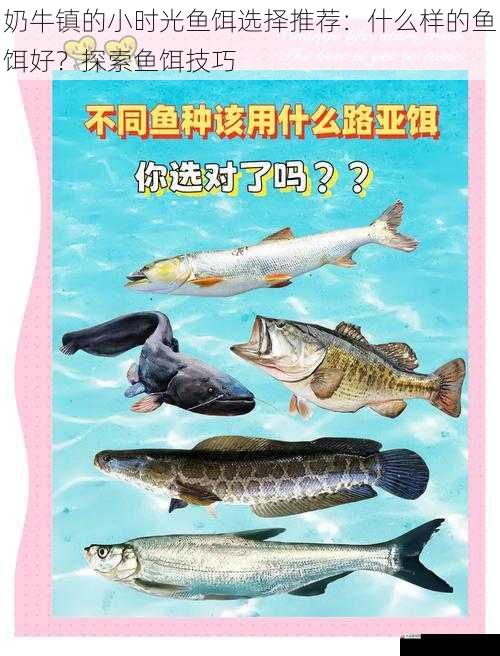 奶牛镇的小时光鱼饵选择推荐:什么样的鱼饵好?探索鱼饵技巧