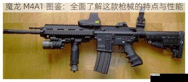 魔龙 M4A1 图鉴:全面了解这款枪械的特点与性能