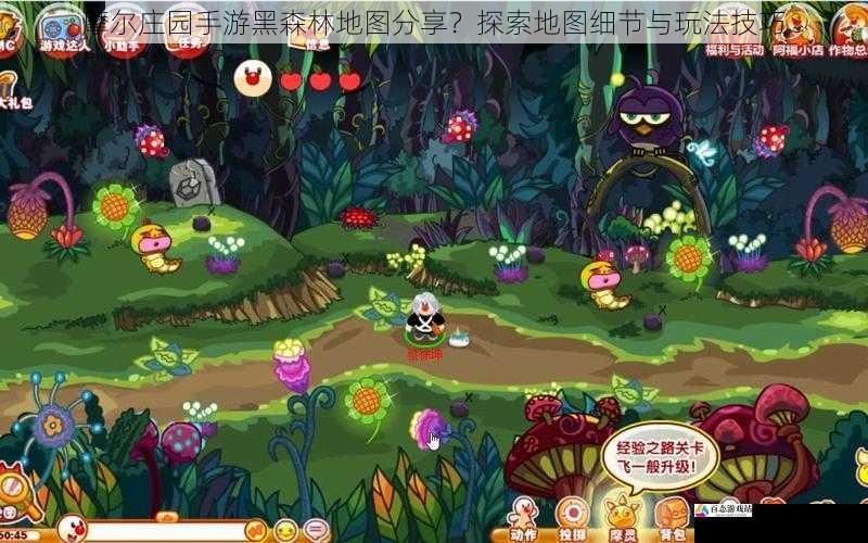 摩尔庄园手游黑森林地图分享?探索地图细节与玩法技巧