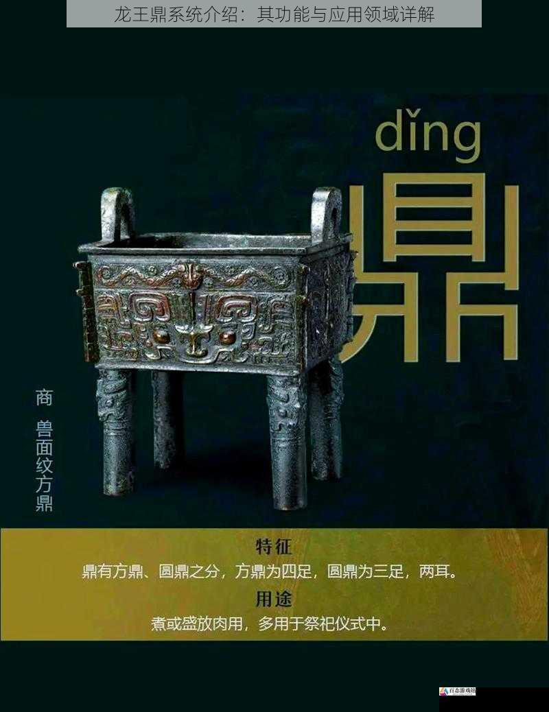 龙王鼎系统介绍:其功能与应用领域详解