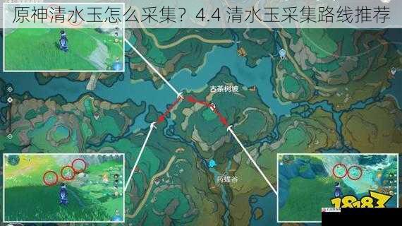 原神清水玉怎么采集？4.4 清水玉采集路线推荐