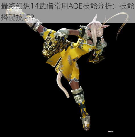 最终幻想14武僧常用AOE技能分析：技能搭配技巧？