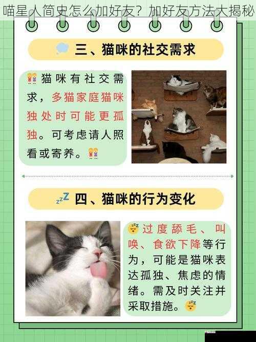 喵星人简史怎么加好友?加好友方法大揭秘