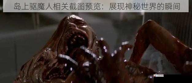 岛上驱魔人相关截图预览：展现神秘世界的瞬间