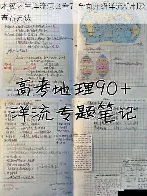 木筏求生洋流怎么看？全面介绍洋流机制及查看方法