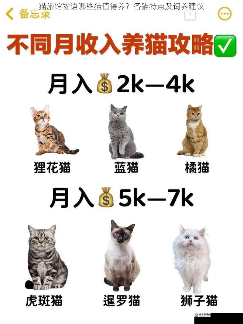 猫旅馆物语哪些猫值得养？各猫特点及饲养建议