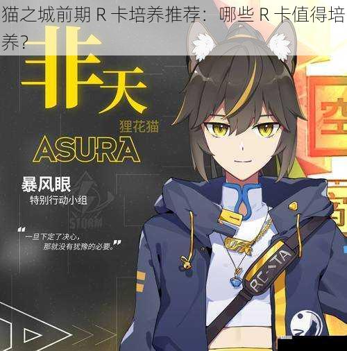 猫之城前期 R 卡培养推荐：哪些 R 卡值得培养？