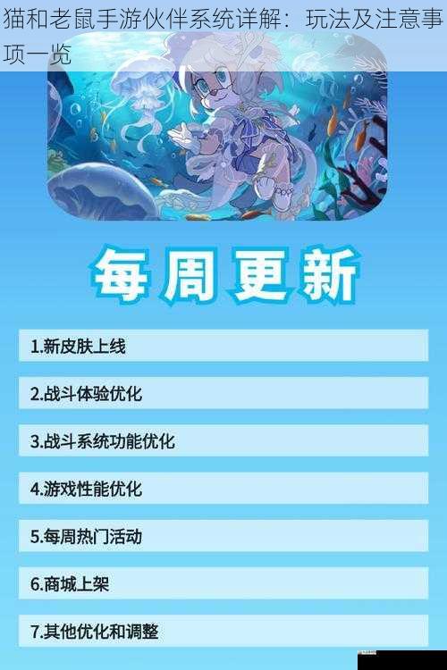 猫和老鼠手游伙伴系统详解:玩法及注意事项一览