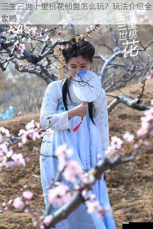 三生三世十里桃花仙盟怎么玩?玩法介绍全攻略