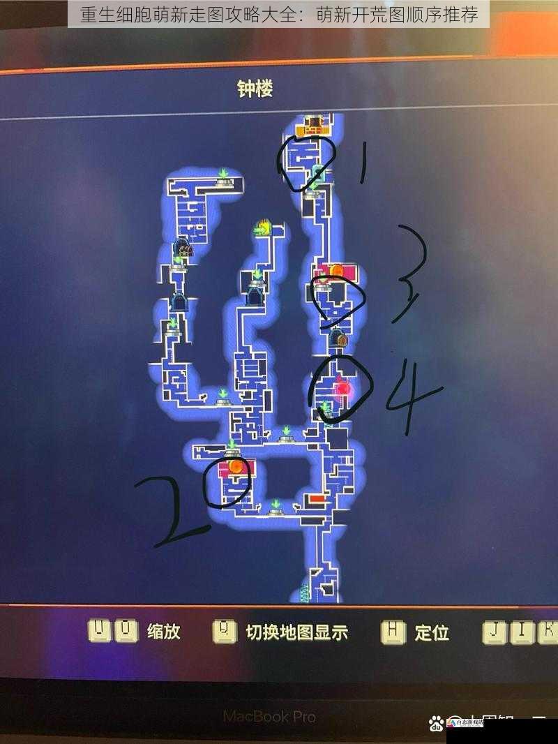 重生细胞萌新走图攻略大全:萌新开荒图顺序推荐