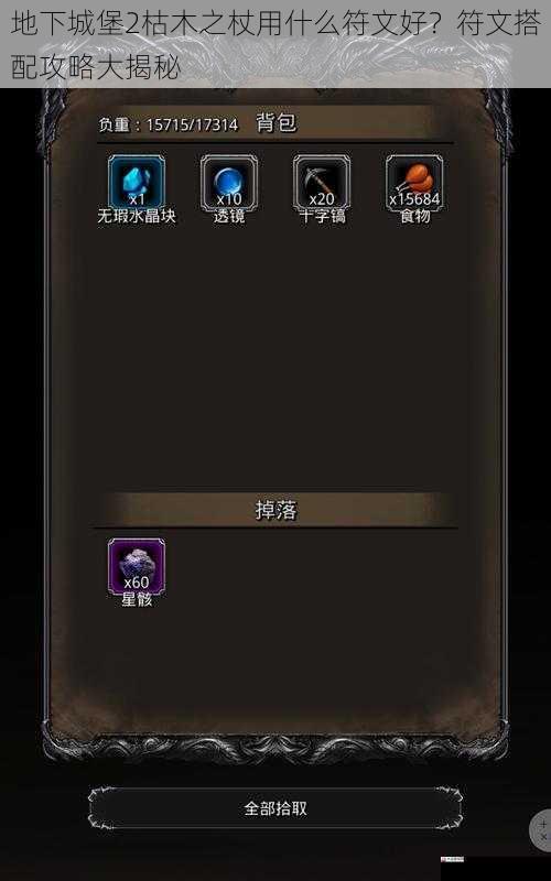 地下城堡 2 枯木之杖用什么符文好?符文搭配攻略大揭秘