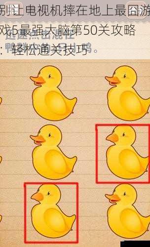 别让电视机摔在地上最囧游戏 5 最强大脑第 50 关攻略:轻松通关技巧