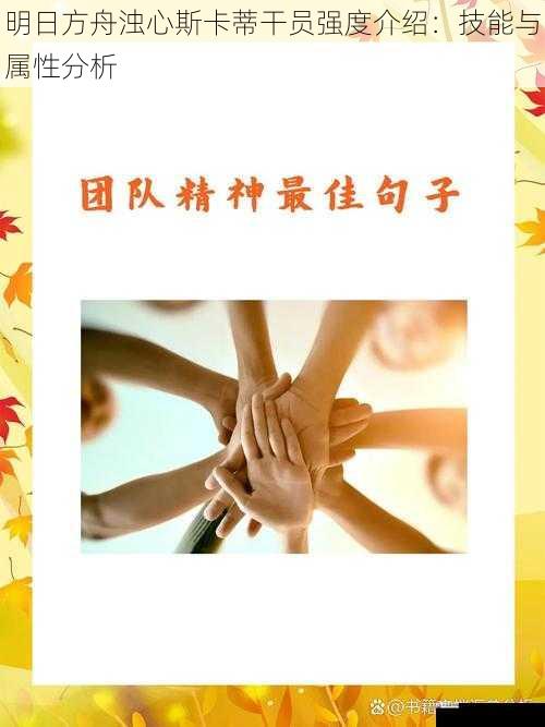 团队配合:不可或缺的角色