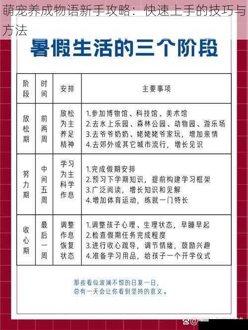 制定合理的养成计划