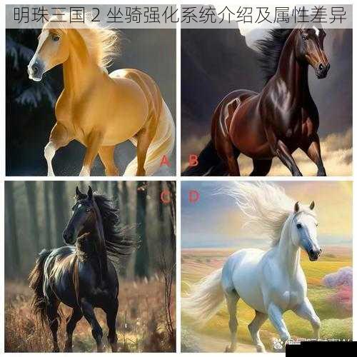 不同品质坐骑的强化差异