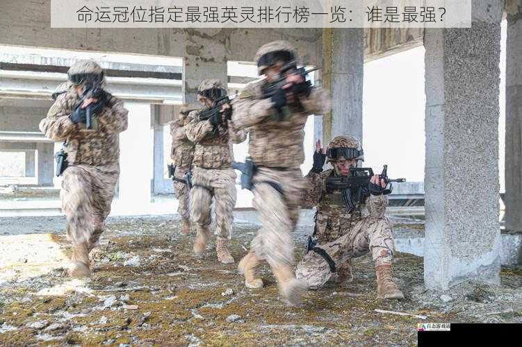 实战表现:战场的检验