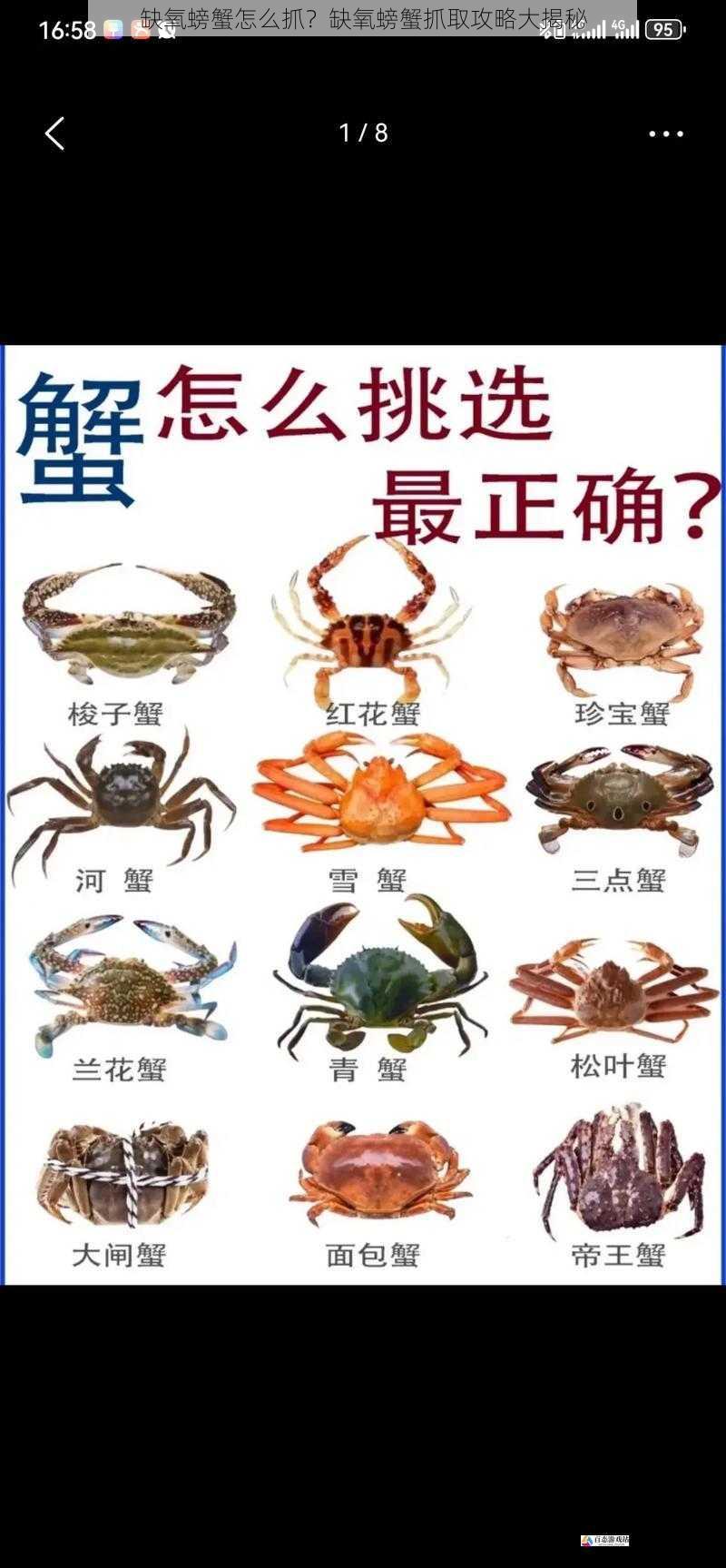  缺氧螃蟹怎么抓？缺氧螃蟹抓取攻略大揭秘