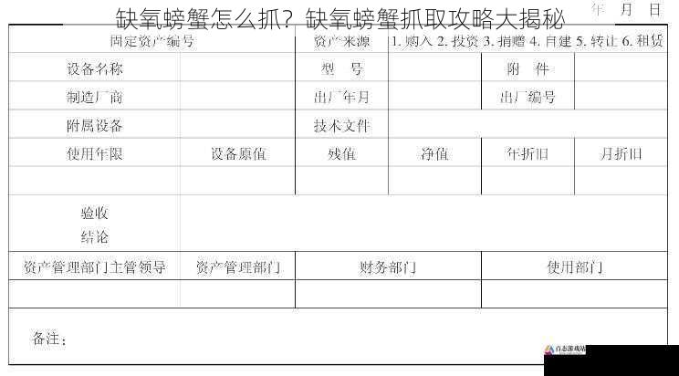 后续处理与保存