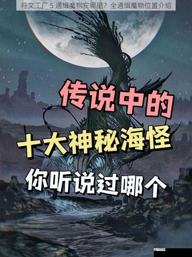 海洋深处的神秘魔物