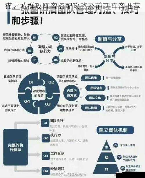 团队角色定位与分工