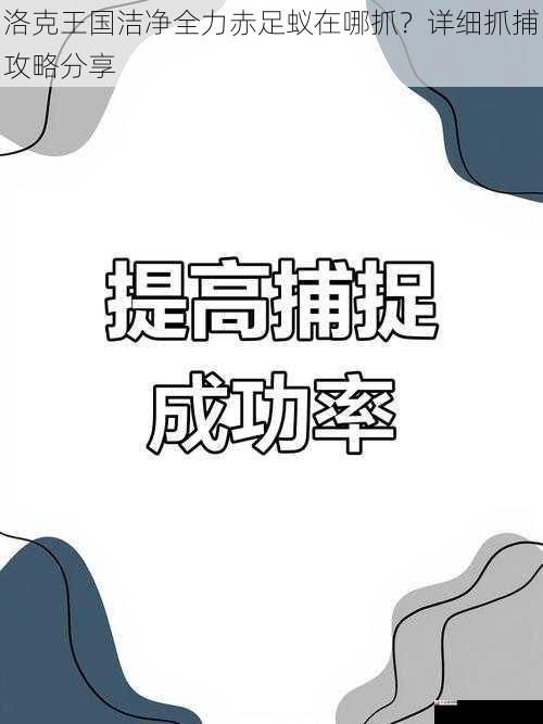 捕捉技巧