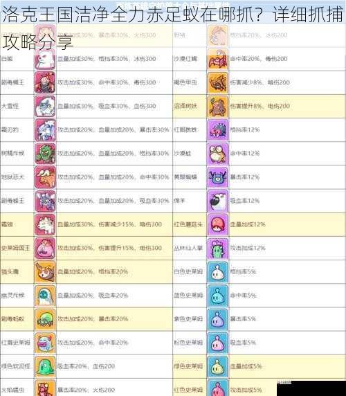宠物搭配