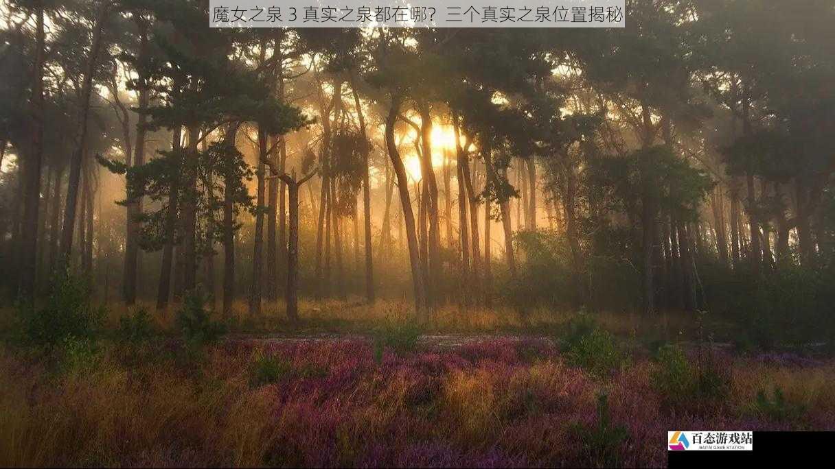 魔女之泉 3 真实之泉都在哪？三个真实之泉位置揭秘