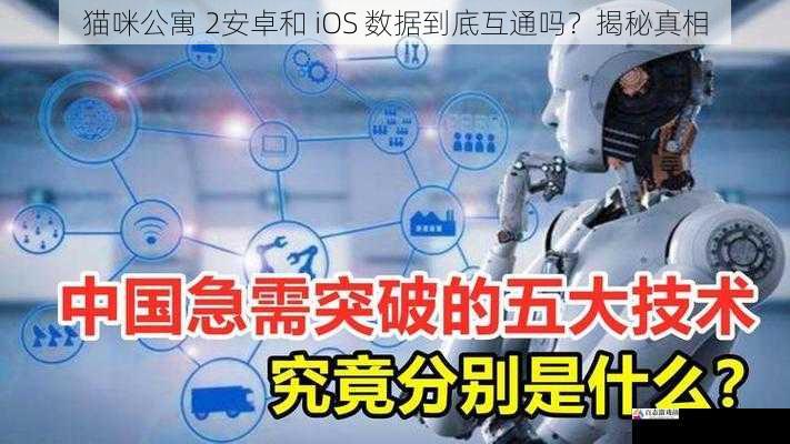 技术实现难度