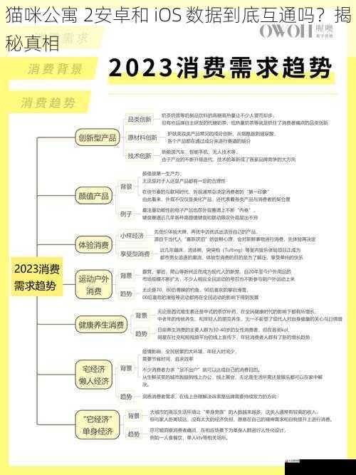 用户需求与市场竞争