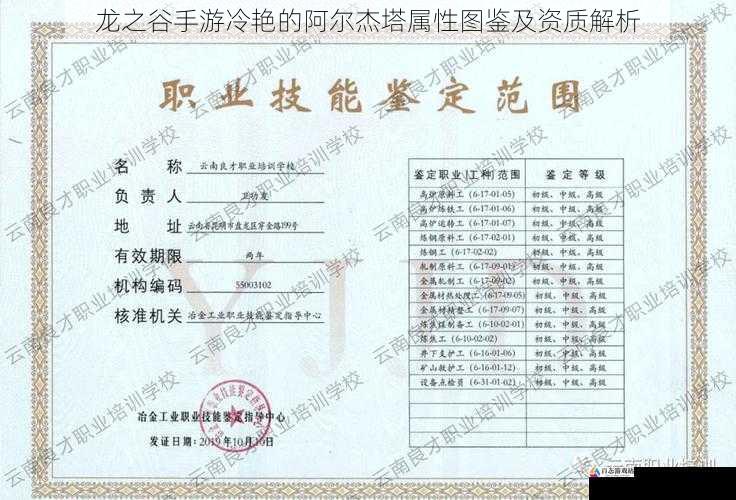 技能资质篇