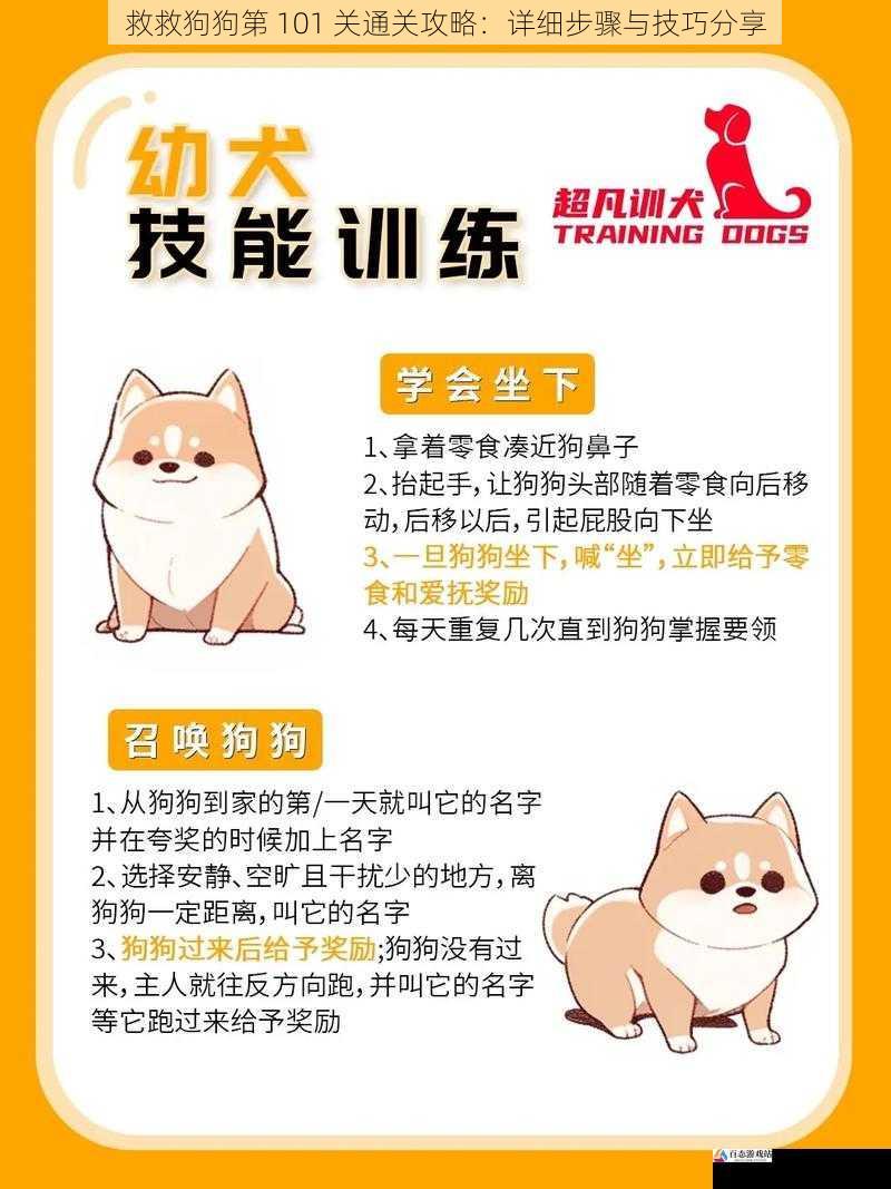 掌握狗狗的技能