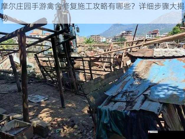 拆除旧禽舍