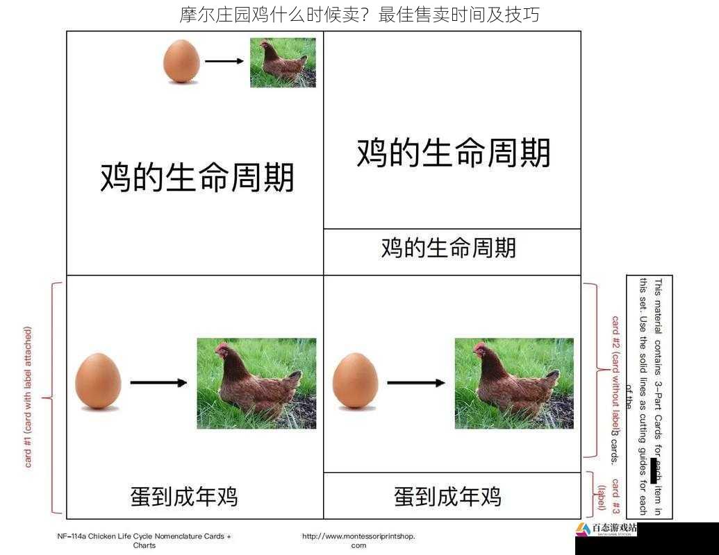 摩尔庄园鸡什么时候卖？最佳售卖时间及技巧