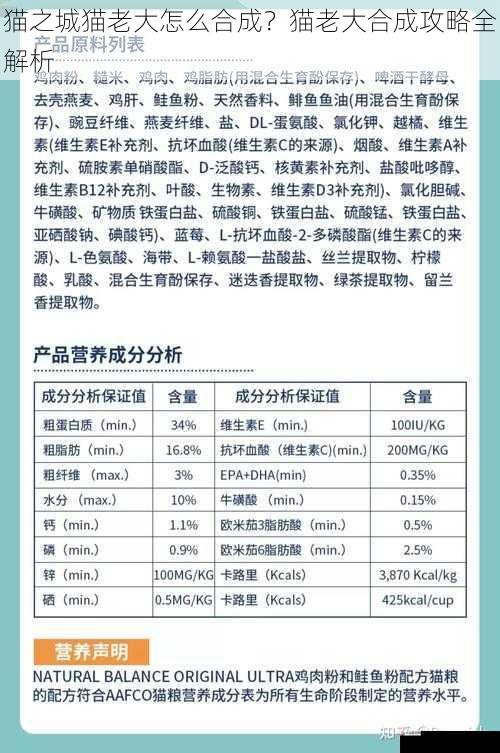 猫咪品质与合成材料