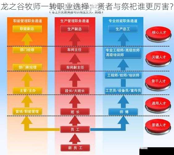 职业发展比较