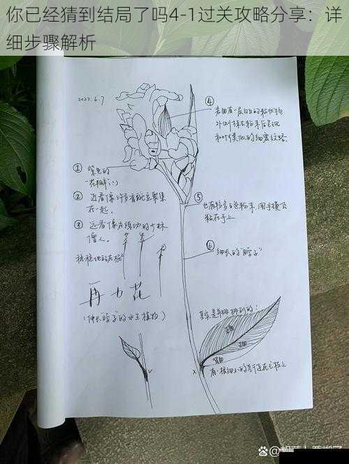 观察线索细节