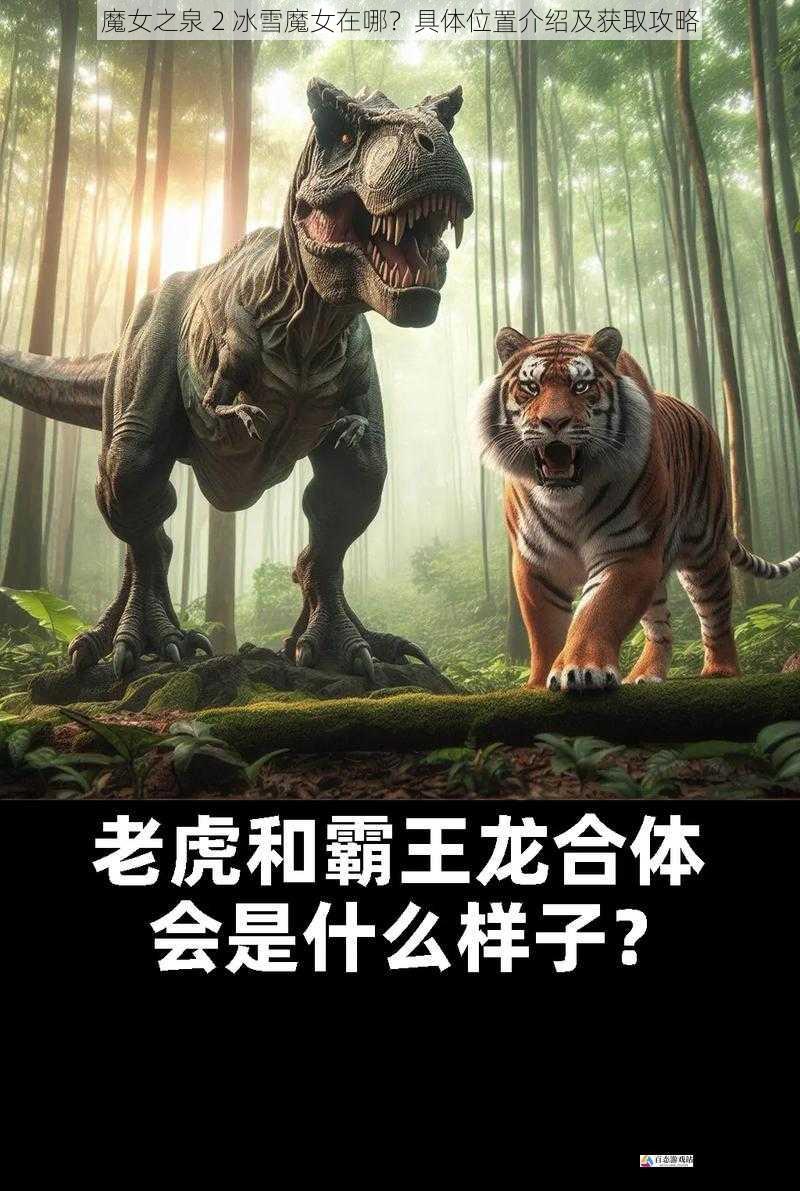 战斗与实力