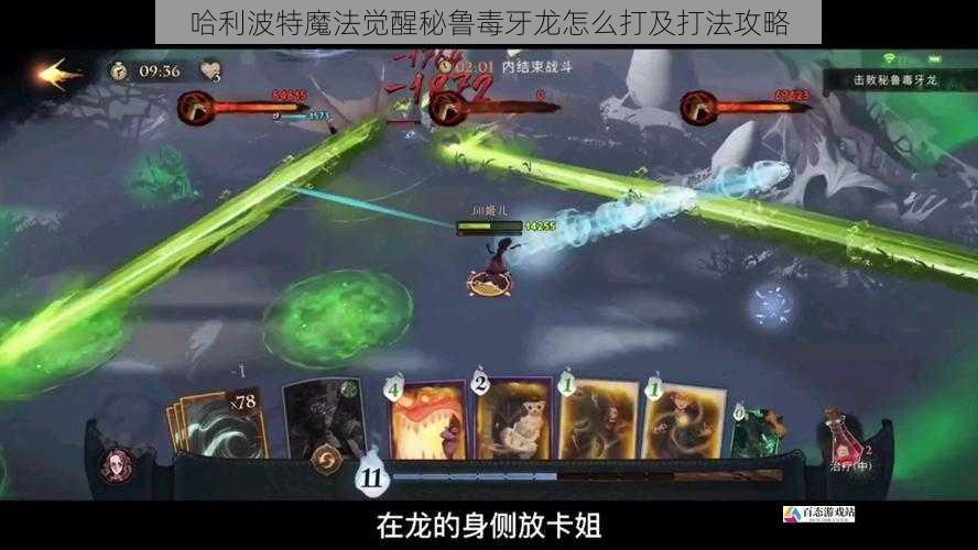 了解秘鲁毒牙龙的属性