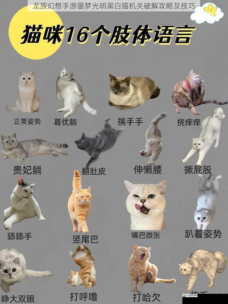 龙族幻想手游噩梦光明黑白猫机关破解攻略及技巧