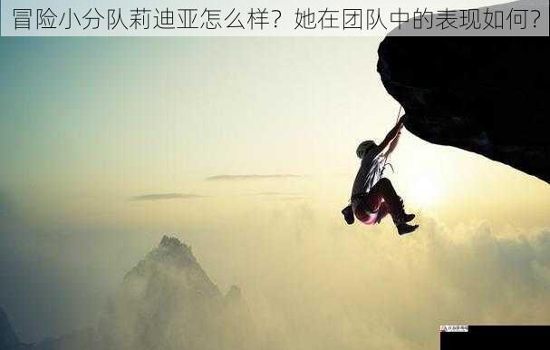 坚韧不拔的执行者
